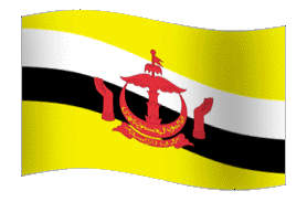 Brunei flag